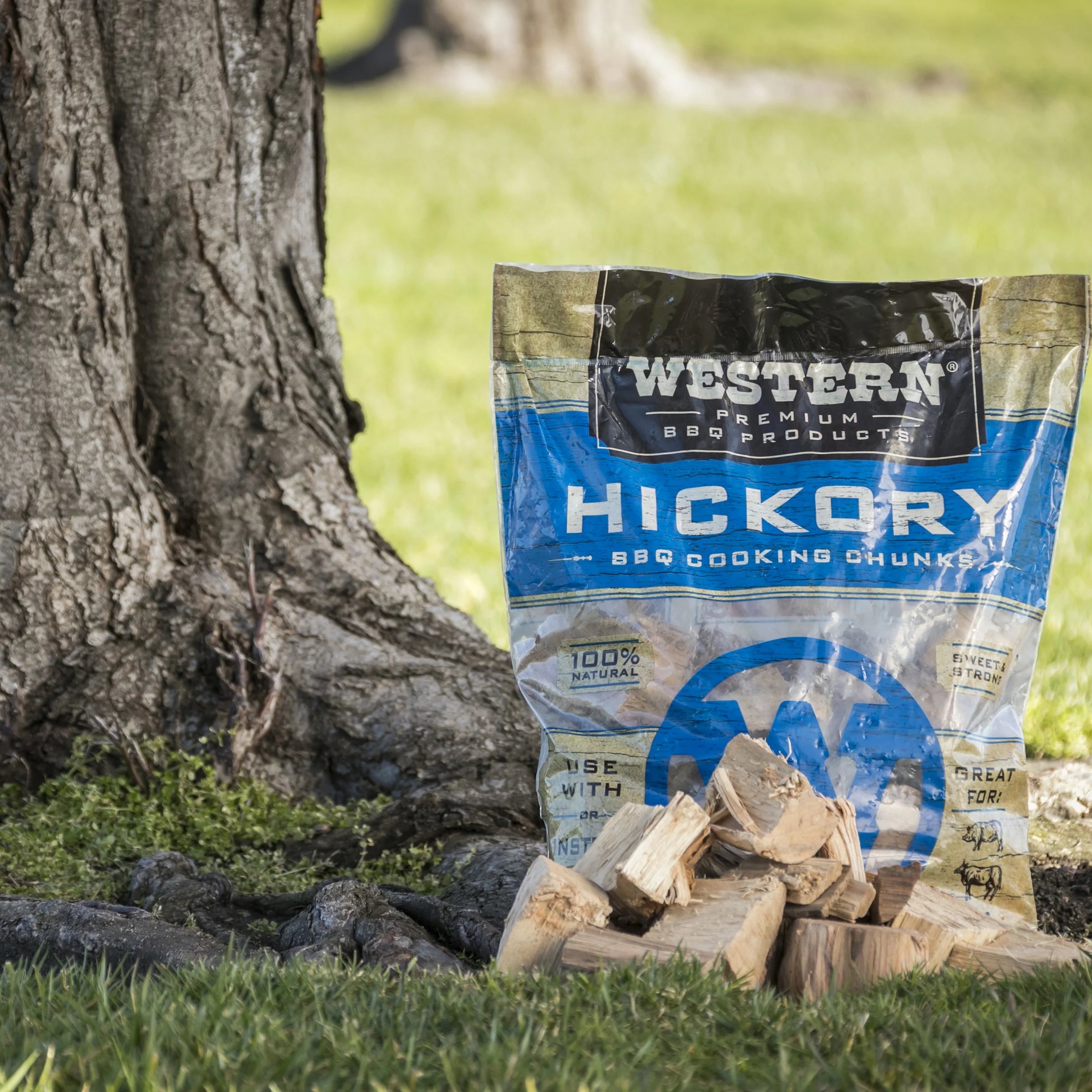 Western Premium BBQ Products Hickory BBQ Cooking Chunks, 570 Cu In